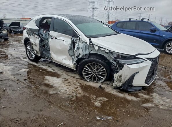2T2HGCEZ7RC059004 2024 LEXUS NX White Առջևի աջ