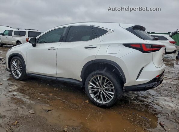 2T2HGCEZ7RC059004 2024 LEXUS NX White Հետևի ձախ
