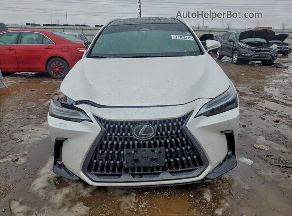2T2HGCEZ7RC059004 2024 LEXUS NX White Դիմացի տեսք