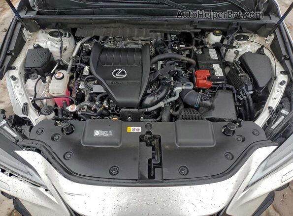 2T2HGCEZ7RC059004 2024 LEXUS NX White Սալոնի հետևի տեսք