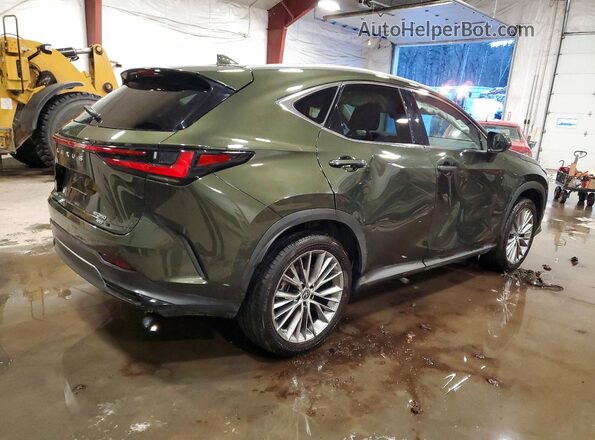 2T2HGCEZXPC026110 2023 LEXUS NX Зеленый Задняя правая четверть