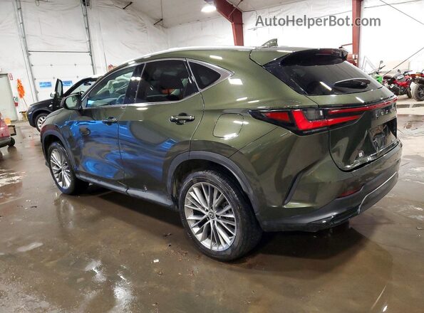 2T2HGCEZXPC026110 2023 LEXUS NX Зеленый Задняя левая четверть
