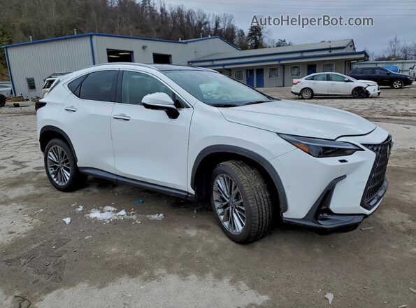 2T2HKCEZ4TC059807 2026 LEXUS NX White Передня права чверть