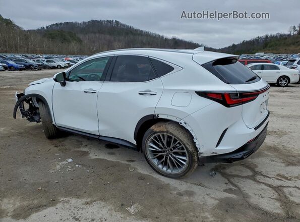 2T2HKCEZ4TC059807 2026 LEXUS NX White Задня ліва чверть