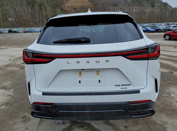 2T2HKCEZ4TC059807 2026 LEXUS NX White Вид ззаду