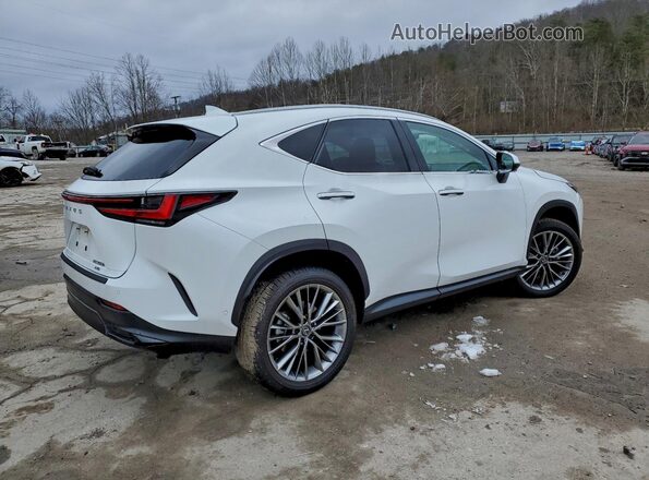 2T2HKCEZ4TC059807 2026 LEXUS NX White Задня права чверть