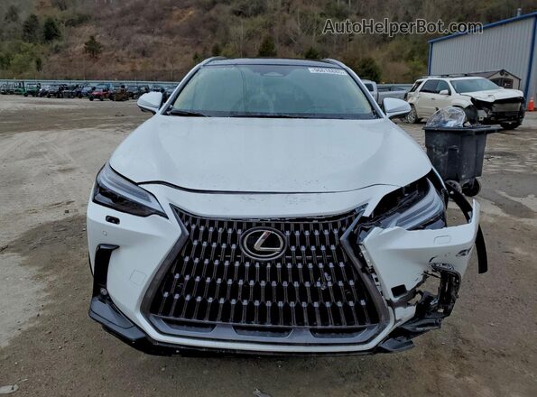 2T2HKCEZ4TC059807 2026 LEXUS NX White Вид спереду