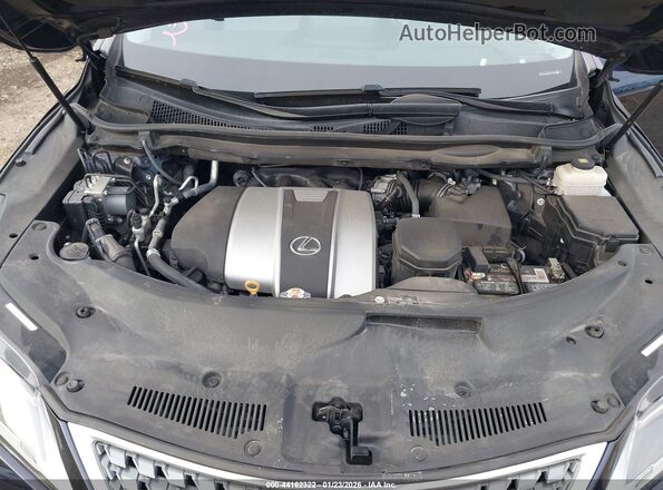 2T2HZMAA3LC155557 2020 LEXUS RX 350 Синий Вид сзади