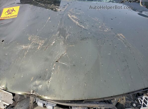 2T2HZMDA9LC234257 2020 LEXUS RX Green Вид задньої частини салону