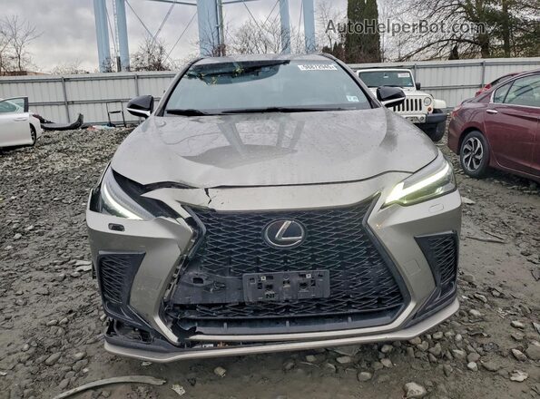 2T2KGCEZ6PC024716 2023 LEXUS NX Gray Widok z przodu