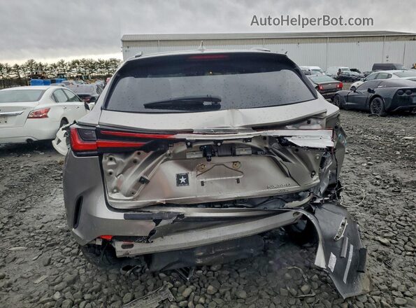 2T2KGCEZ6PC024716 2023 LEXUS NX Gray Widok z tyłu