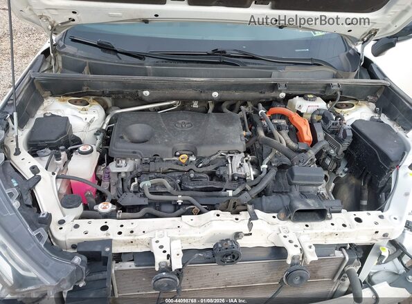 2T3E6RFV7MW003619 2021 TOYOTA RAV4 HYBRID White უკანა ხედი