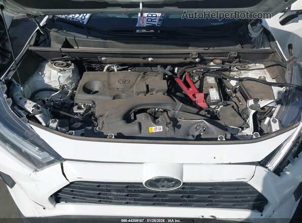 2T3G1RFV1PC356127 2023 TOYOTA LE White Vista trasera