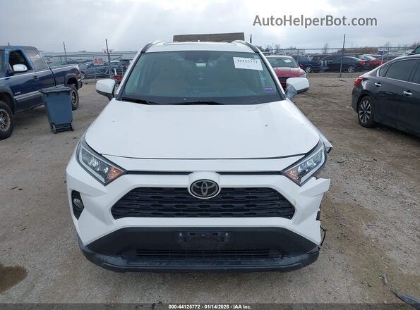 2T3P1RFV7KC044435 2019 TOYOTA LE Белый Вид задней части салона