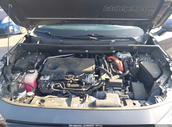 2T3RWRFV1LW085153 2020 TOYOTA LE Gold Widok z tyłu