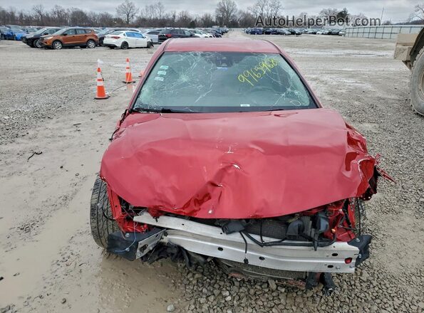 4T1G11BK1LU006558 2020 TOYOTA CAMRY Red Widok z tyłu