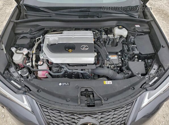 JTHR9JBH0P2067264 2023 LEXUS UX Charcoal Widok naklejki z numerem VIN