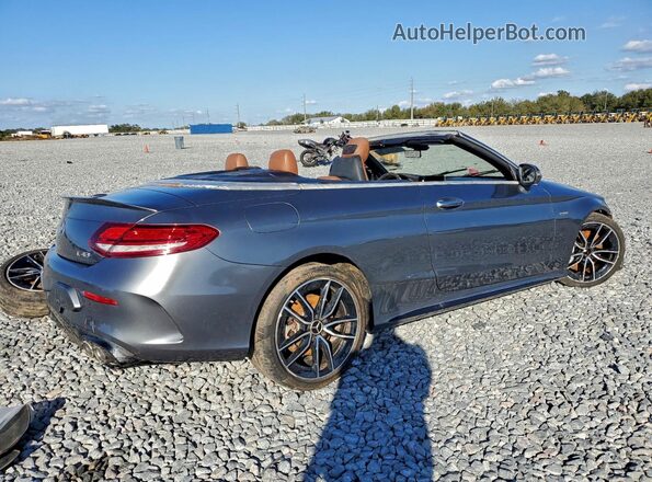 WDDWK6EB2LF968884 2020 MERCEDES-BENZ C Gray 