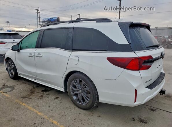 5FNRL6H83SB005645 2025 HONDA ODYSSEY White უკანა მარჯვენა