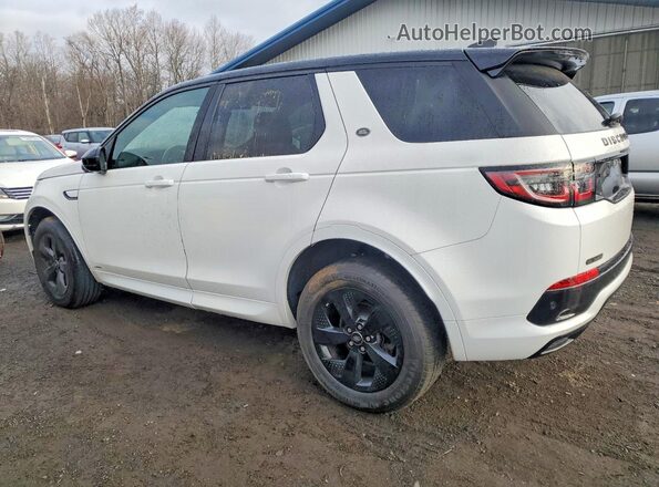 SALCT2FXXLH841763 2020 LAND ROVER DISCOVERY White Задня ліва чверть
