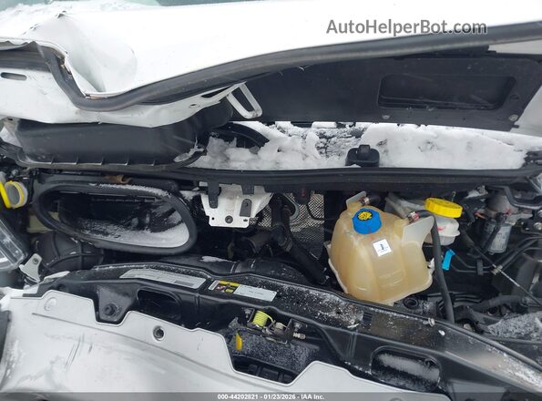 3C6LRVDG5ME584584 2021 RAM PROMASTER 2500 White Вид ззаду