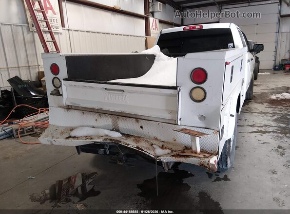 3C6TR5HT0HG699918 2017 RAM 2500 White 