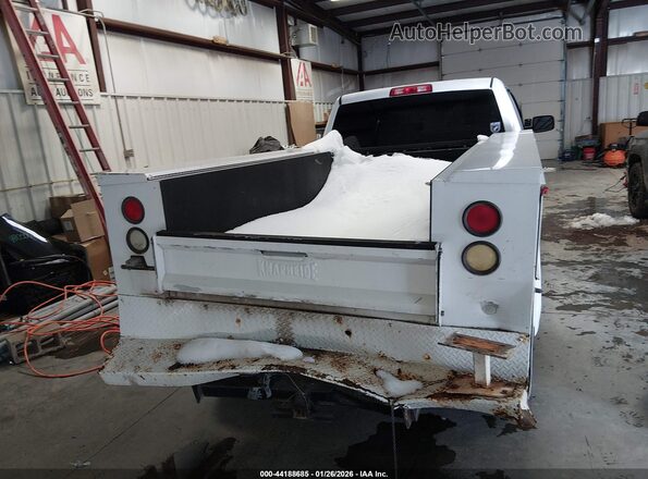 3C6TR5HT0HG699918 2017 RAM 2500 White 