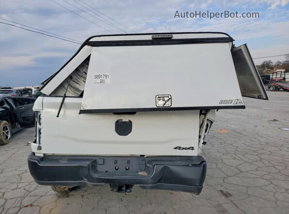 3C6UR5HJXRG153387 2024 RAM 2500 White Widok z tyłu