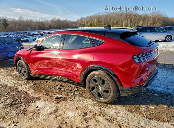 3FMTK2R75MMA05793 2021 FORD MUSTANG Red 
