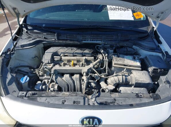 3KPA24AD3LE289491 2020 KIA RIO Белый Вид сзади