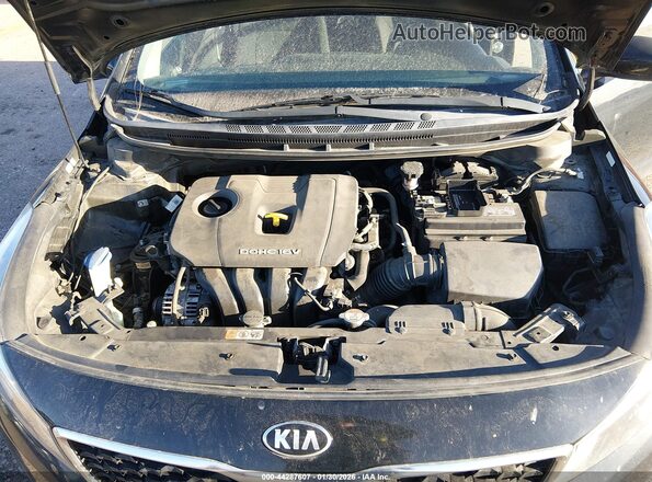 3KPFK4A77HE116676 2017 KIA FORTE Black Vista trasera
