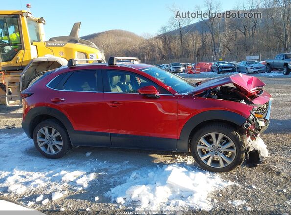3MVDMBBM9PM526232 2023 MAZDA CX-30 Red Вид задньої частини салону