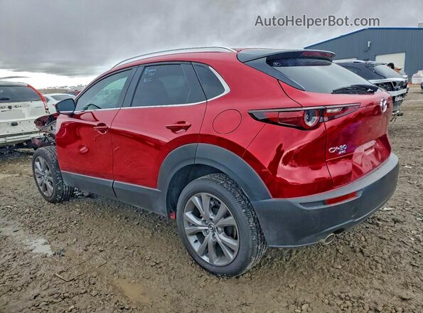 3MVDMBCMXSM856811 2025 MAZDA CX-30 Maroon Задня ліва чверть