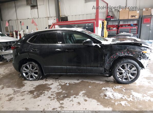 3MVDMBDL7NM447112 2022 MAZDA CX-30  Вид задней части салона