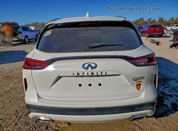 3PCAJ5BA0NF106235 2022 INFINITI QX50 Белый Вид сзади