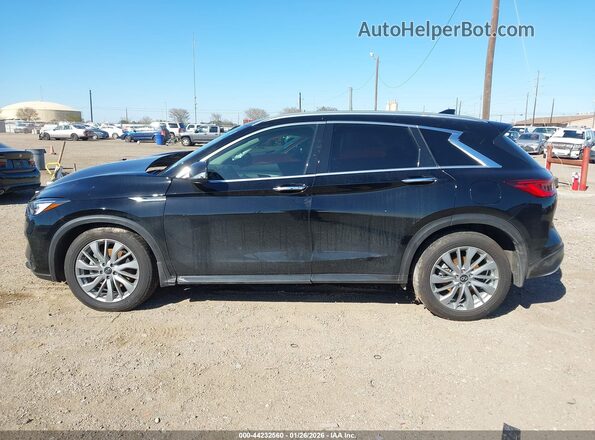 3PCAJ5BA4PF107391 2023 INFINITI QX50 Black Панорамний вид салону 360°
