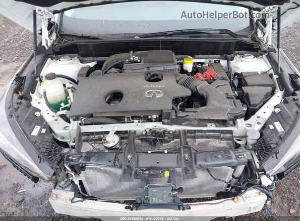 3PCAJ5BA6PF115234 2023 INFINITI QX50 White Вид ззаду