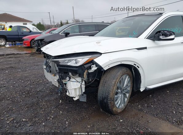 3PCAJ5BA6PF115234 2023 INFINITI QX50 White Вид спереду