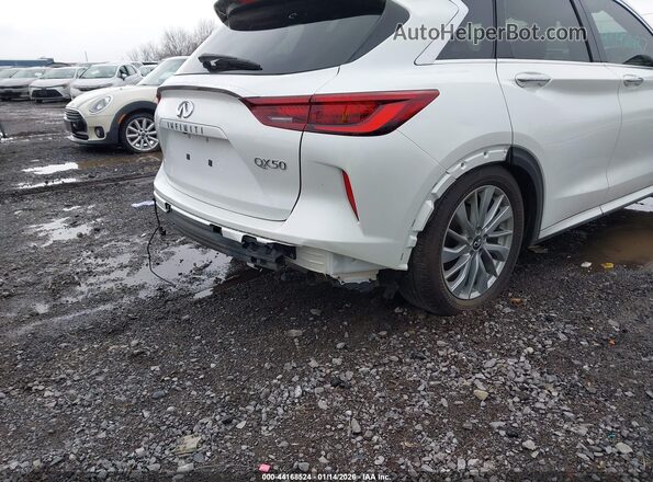 3PCAJ5BA6PF115234 2023 INFINITI QX50 White Панорамний вид салону 360°