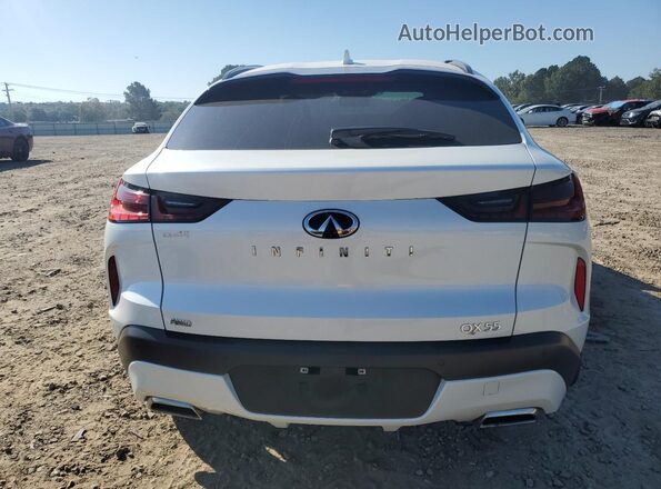 3PCAJ5JR3PF112749 2023 INFINITI QX55 White Вид ззаду