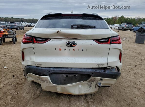 3PCAJ5JR6PF105228 2023 INFINITI QX55 White Вид ззаду