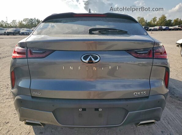 3PCAJ5JR9PF123013 2023 INFINITI QX55 Gray Вид ззаду