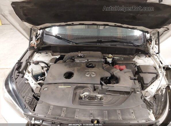 3PCAJ5M14KF145192 2019 INFINITI QX50 White Հետևի տեսք