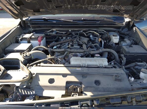 3TMKB5FN0RM013828 2024 TOYOTA TACOMA Gray უკანა ხედი