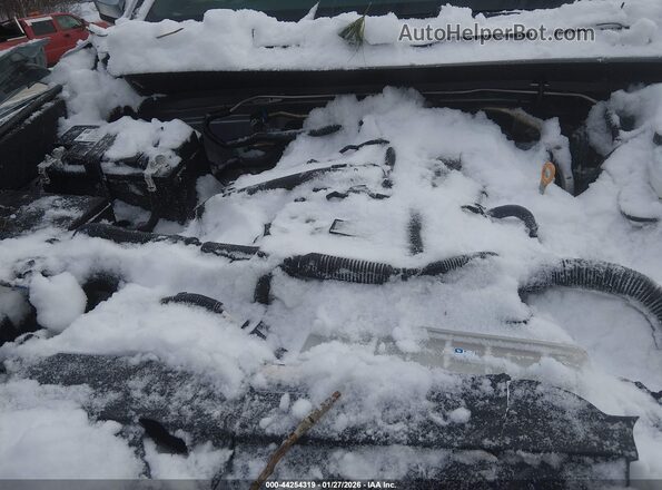 3TMLB5JN5SM168960 2025 TOYOTA TACOMA Серебряный Вид сзади