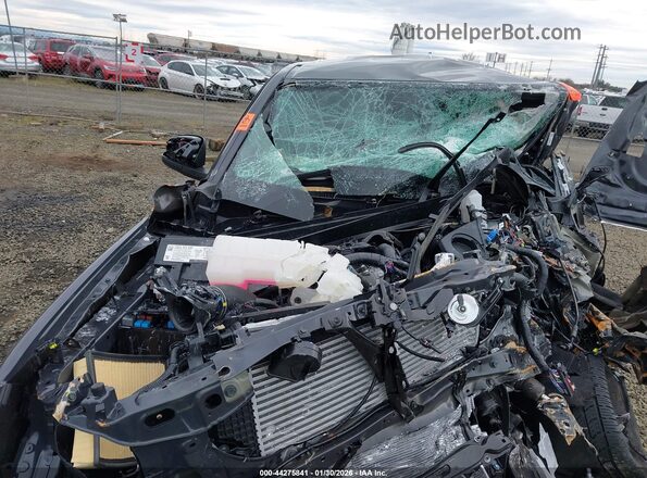 3TMLB5JN9SM171926 2025 TOYOTA TACOMA Gray Rear view
