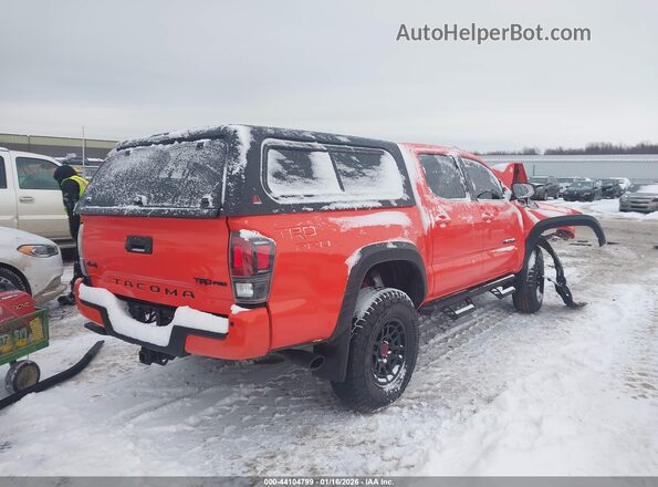 3TYCZ5AN7PT135997 2023 TOYOTA TACOMA Orange 