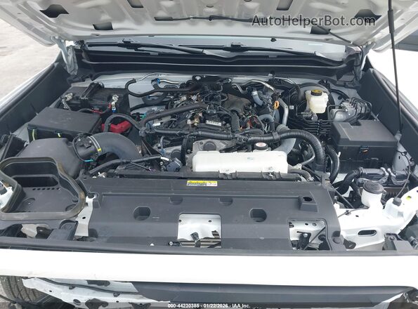 3TYJDAHN2RT006752 2024 TOYOTA TACOMA Белый Вид сзади