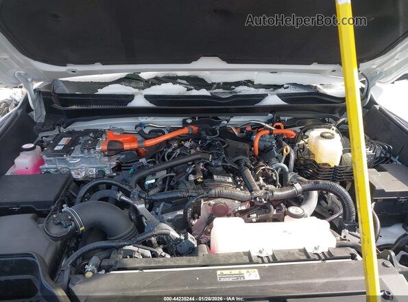 3TYLC5LN0RT007943 2024 TOYOTA TACOMA HYBRID Белый Вид сзади