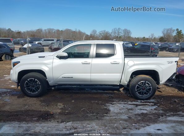 3TYLC5LN0RT007943 2024 TOYOTA TACOMA HYBRID Белый 